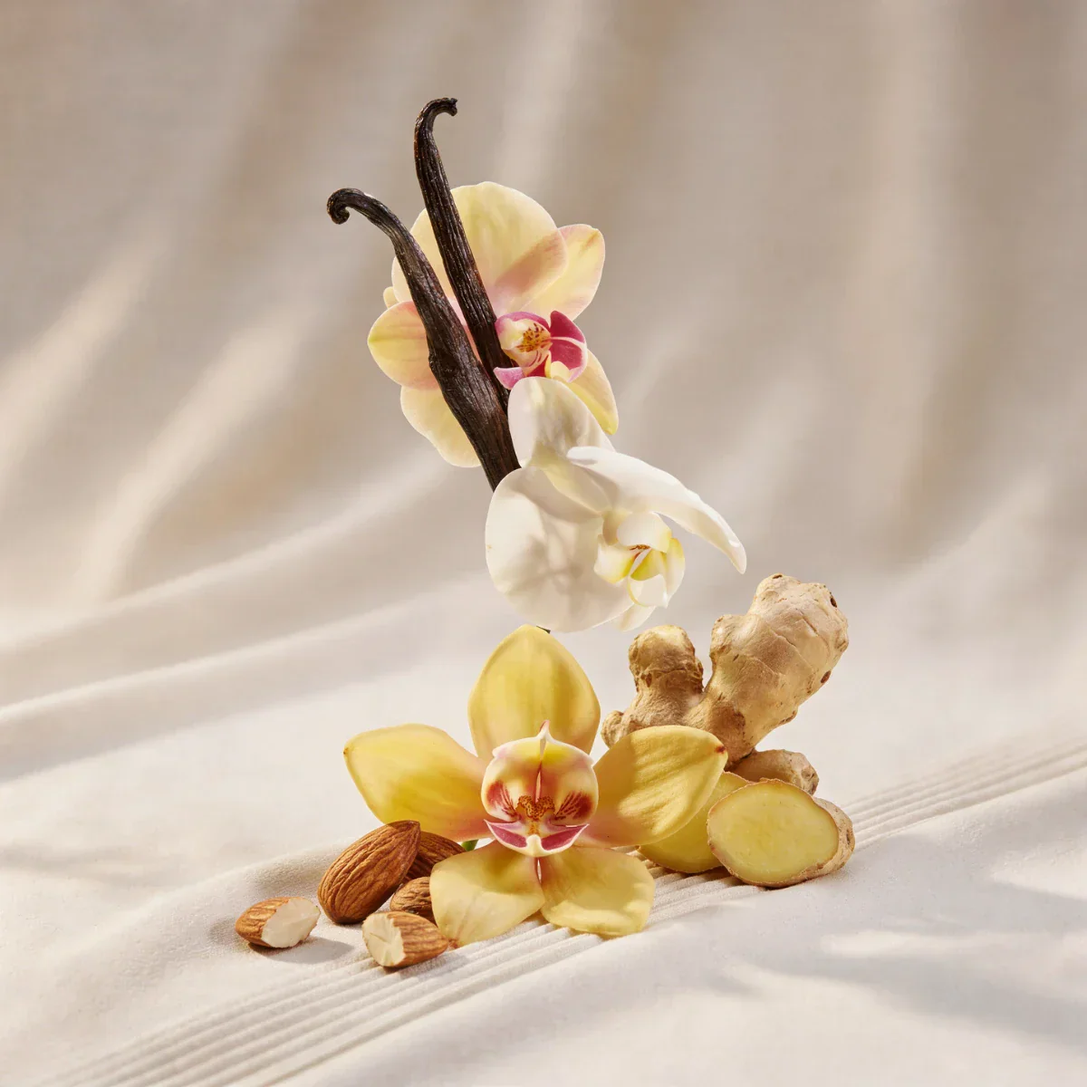 divain.1087 - Image 2
