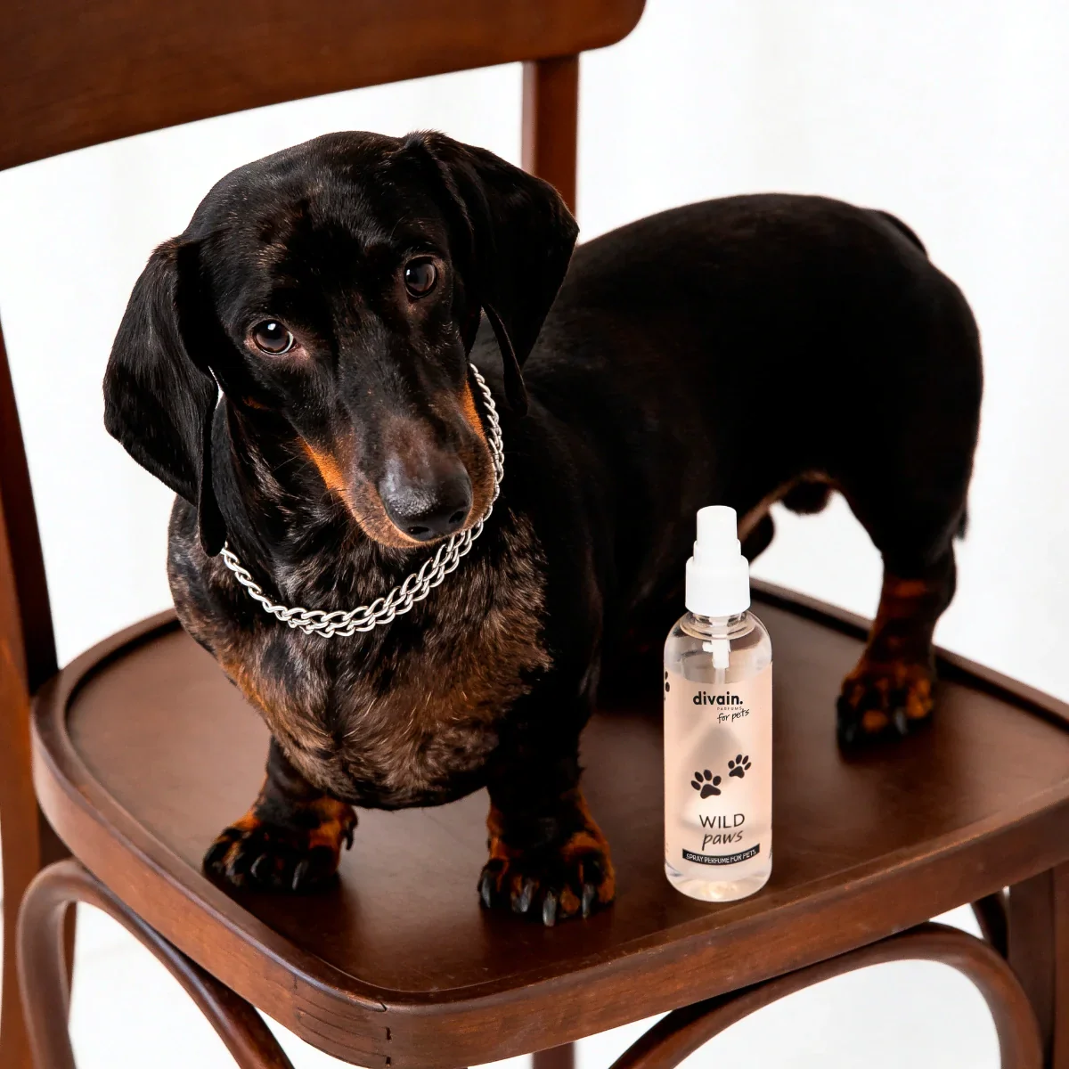 Wild Paws Pet fragrance - Image 3