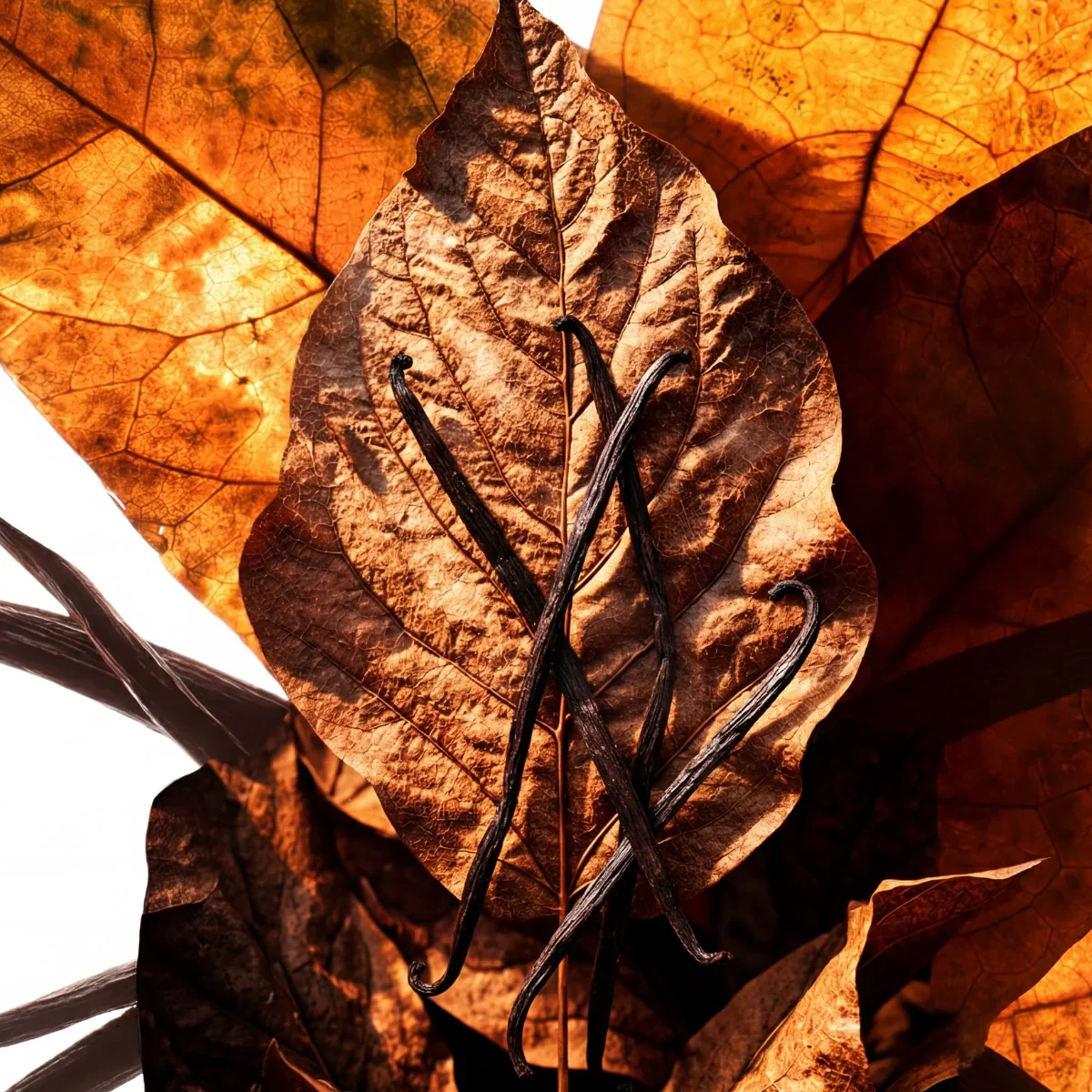 Spiced Soul Pet fragrance - Image 2