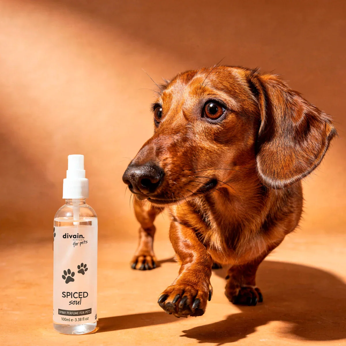 Spiced Soul Pet fragrance - Image 3